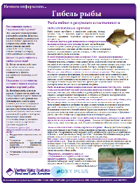 Гибель рыбы